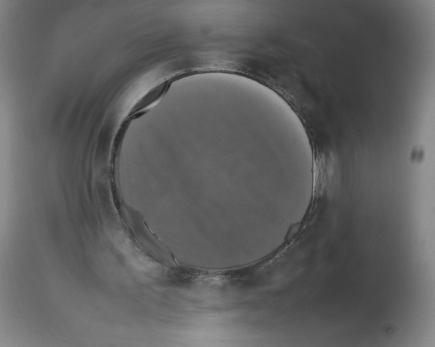 X0000112470195200909281054