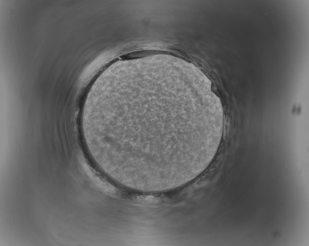X0000112470197200909281054