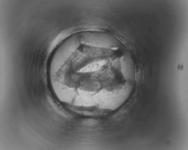 X0000112470198200909281054