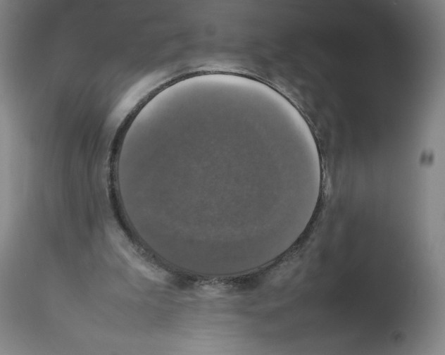 X0000112470199200909281054