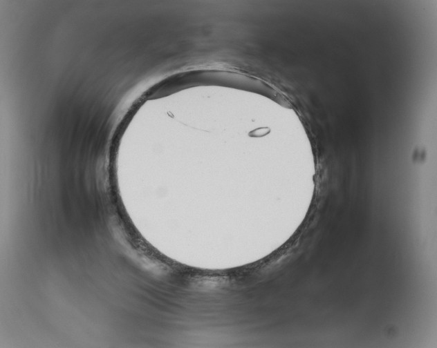 X0000112470200200909281054