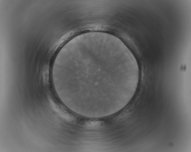 X0000112470202200909281054