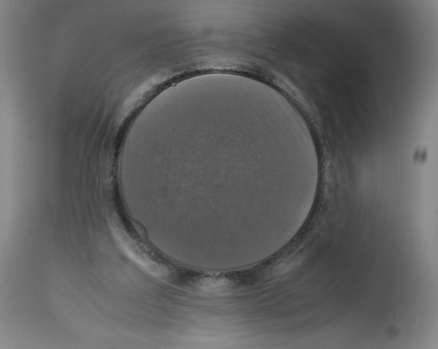 X0000112470203200909281054