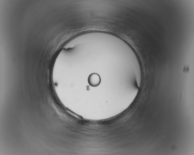 X0000112470205200909281054