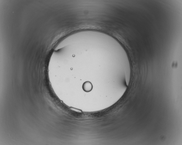 X0000112470207200909281054
