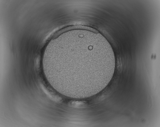 X0000112470208200909281054