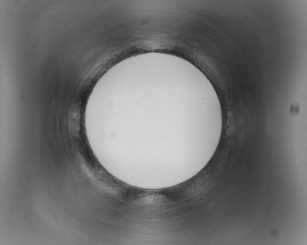 X0000112470210200909281054