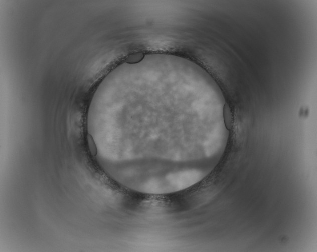 X0000112470211200909281054