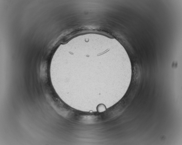 X0000112470212200909281054