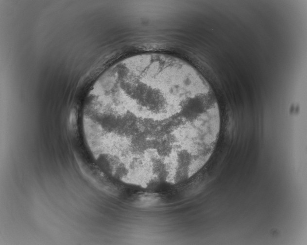X0000112470214200909281054