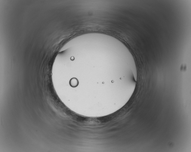 X0000112470215200909281053