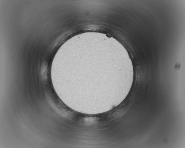 X0000112470216200909281053