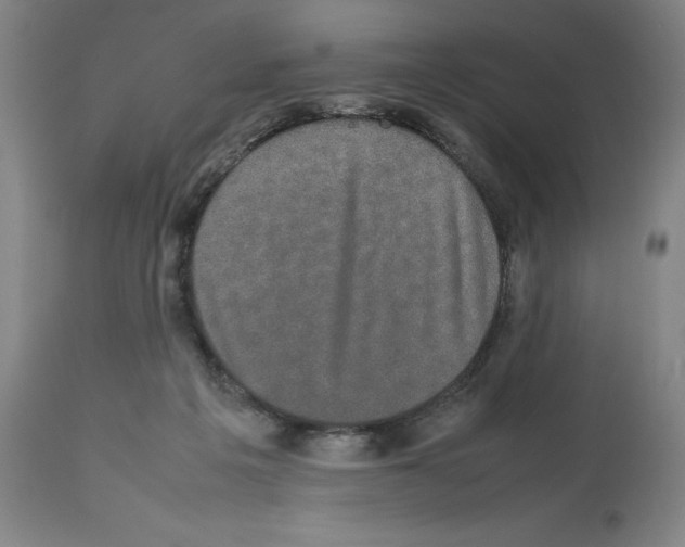 X0000112470217200909281053