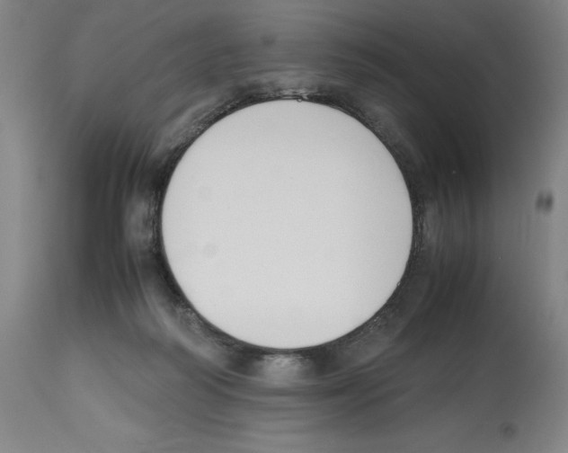X0000112470218200909281053