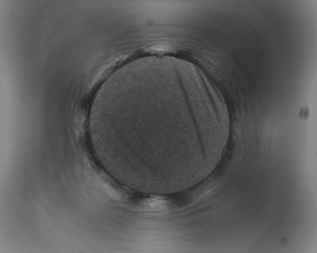 X0000112470219200909281053