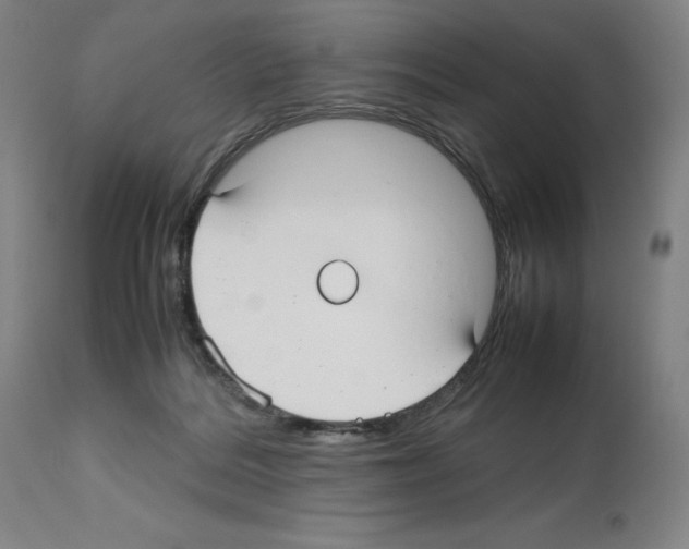X0000112470220200909281053