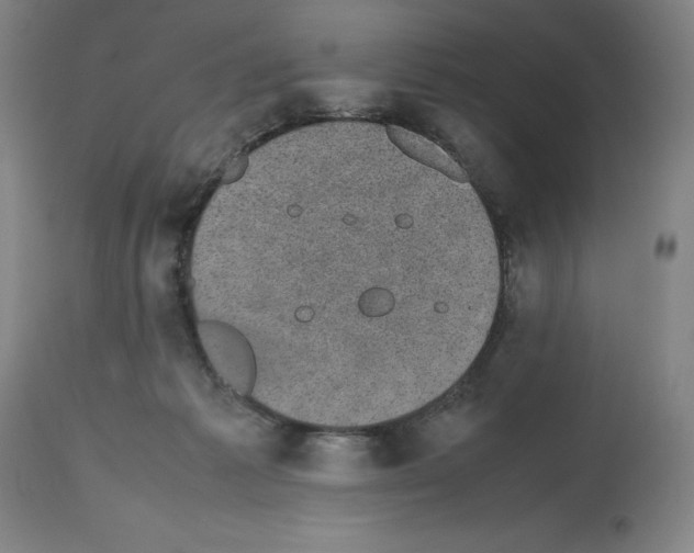X0000112470221200909281053