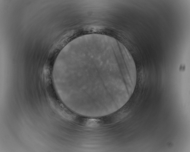 X0000112470222200909281053