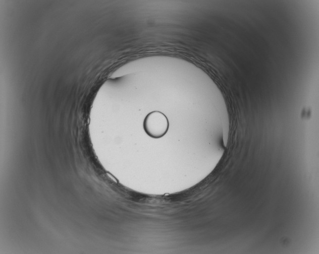 X0000112470223200909281053