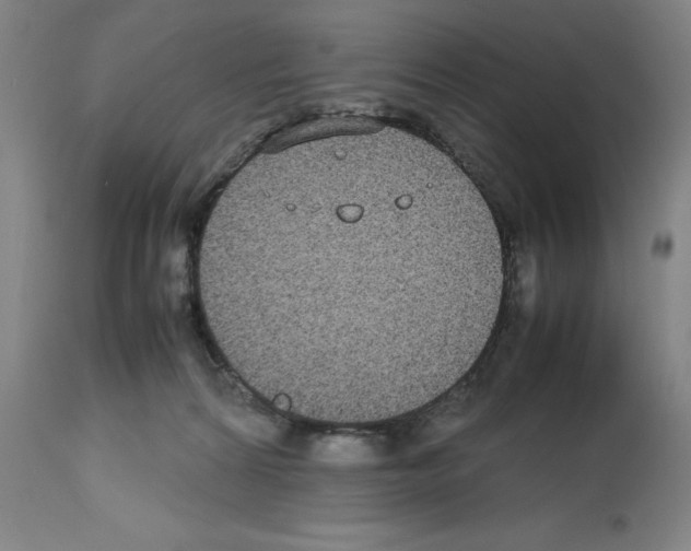 X0000112470224200909281053