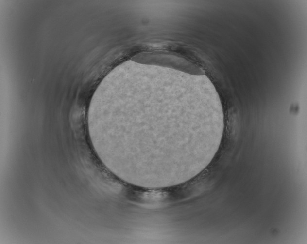 X0000112470225200909281053