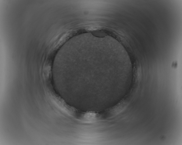 X0000112470227200909281053