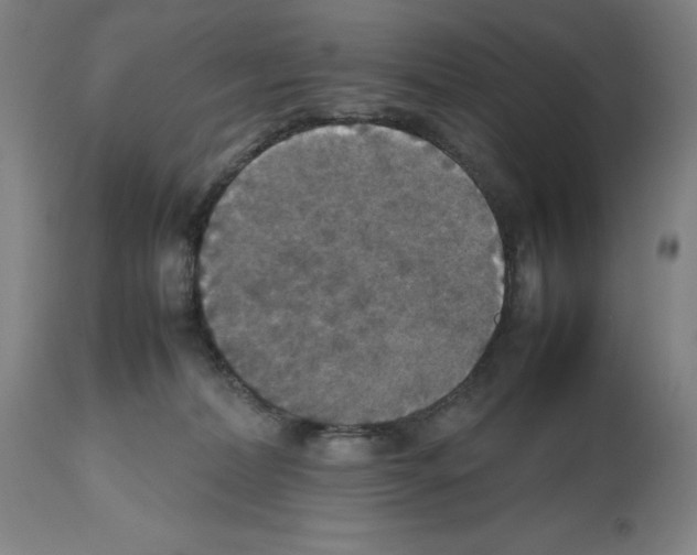 X0000112470228200909281053