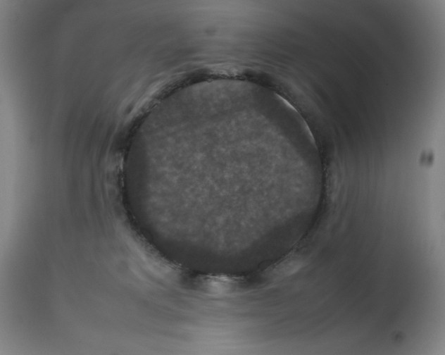 X0000112470229200909281053