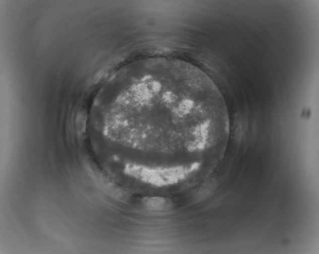 X0000112470230200909281053