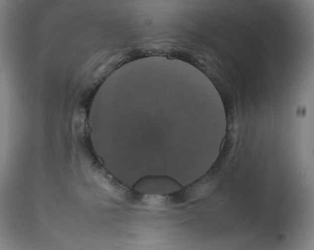 X0000112470231200909281053