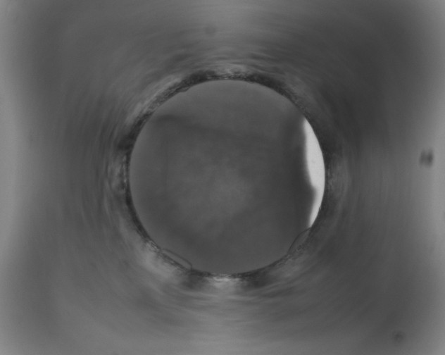 X0000112470233200909281053
