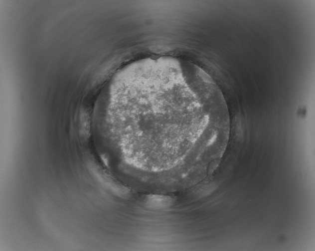 X0000112470234200909281053