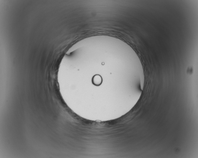 X0000112470235200909281053