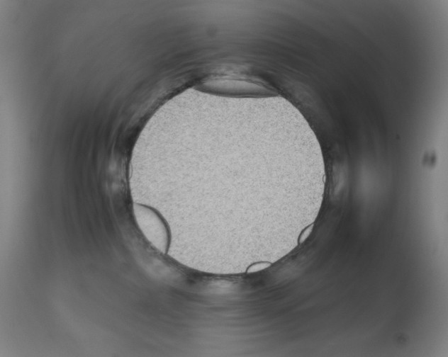 X0000112470236200909281053