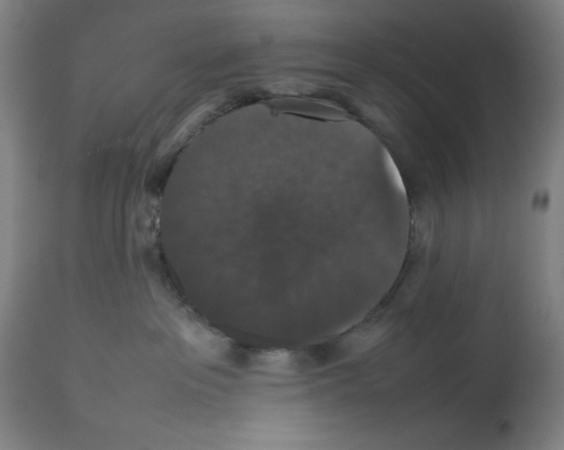 X0000112470237200909281053