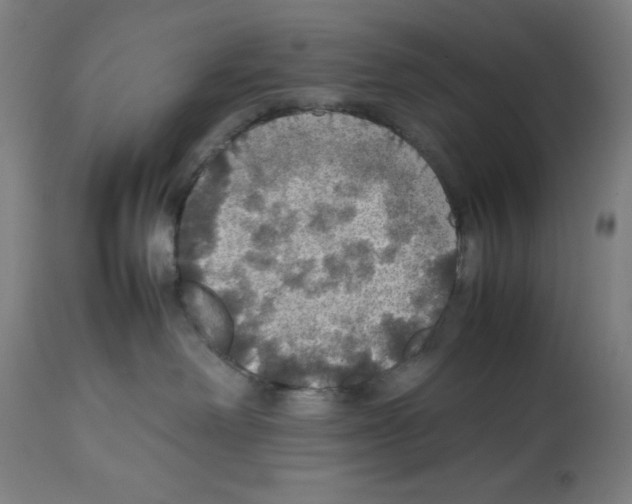 X0000112470238200909281053