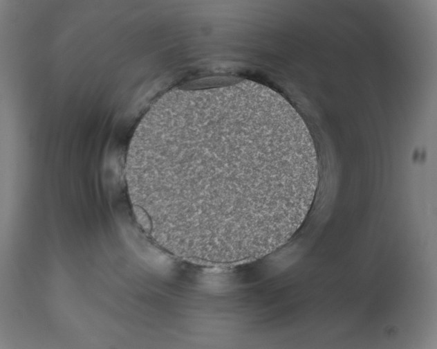 X0000112470240200909281053