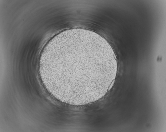 X0000112470241200909281052