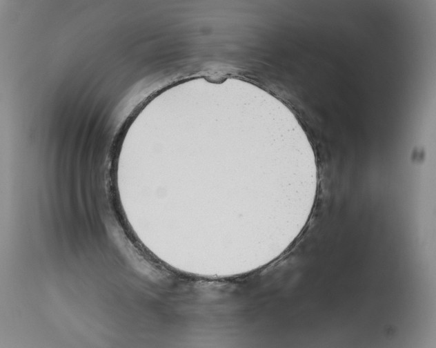 X0000112470242200909281052