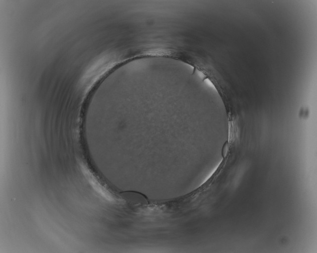 X0000112470243200909281052