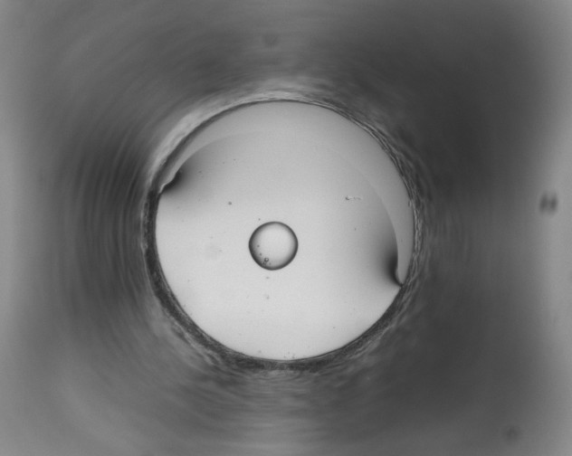X0000112470244200909281052