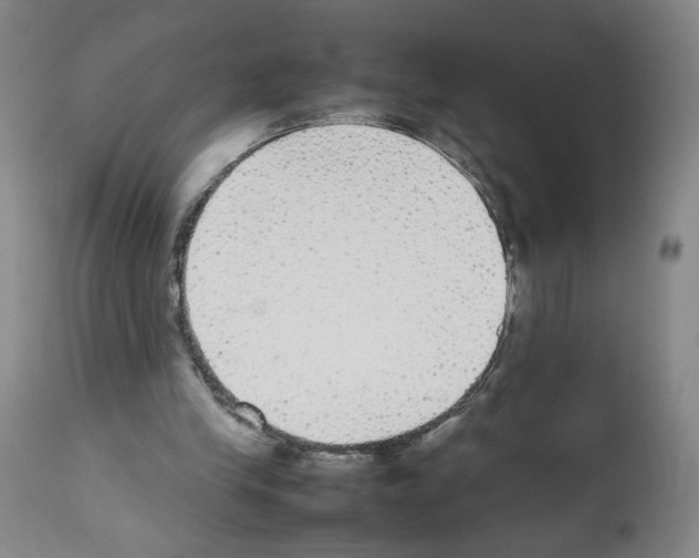X0000112470245200909281052