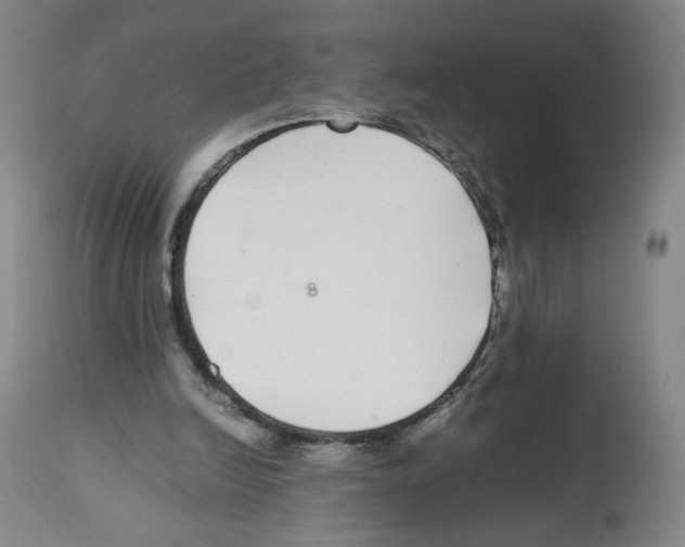 X0000112470246200909281052