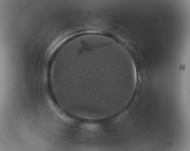 X0000112470247200909281052