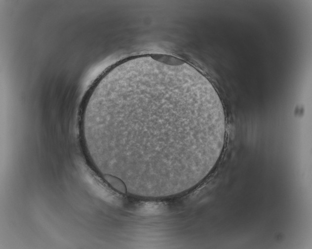 X0000112470248200909281052