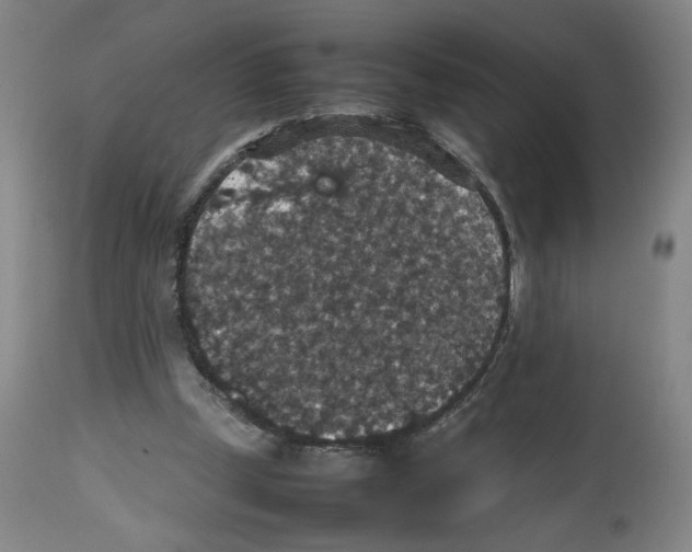 X0000112470249200909281052
