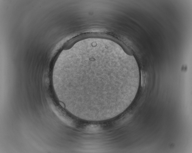 X0000112470252200909281052