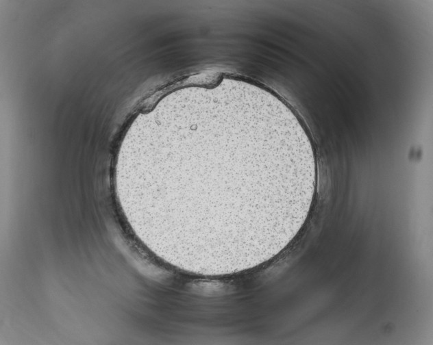 X0000112470253200909281052