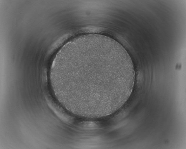 X0000112470254200909281052