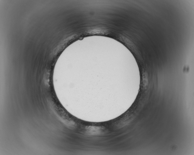 X0000112470255200909281053